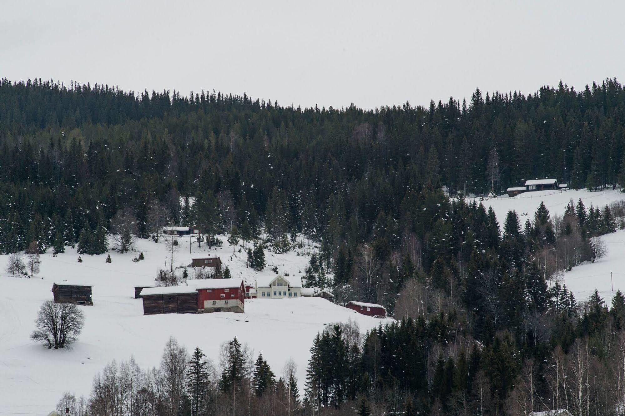 Hotel Eggedal Borgerstue Exteriér fotografie